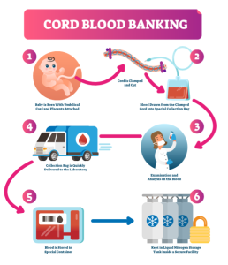 Cord Blood Banking