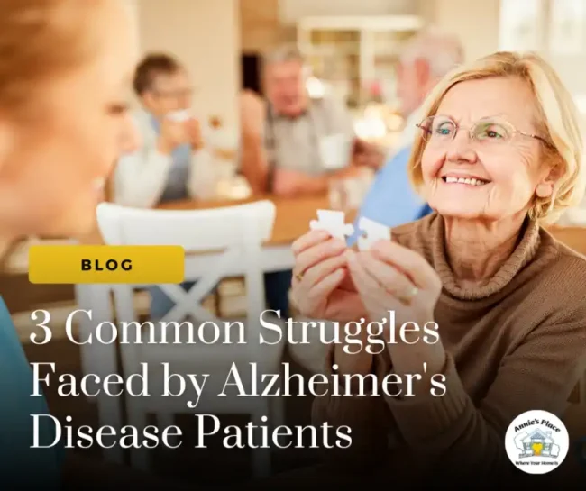 3-Common-Struggles-Faced-by-Alzheimers-Disease-Patients-1-e1706559266703